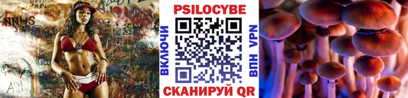 даркнет телеграм Фатеж Галлюциногенные грибы прущие грибы купить наркоту